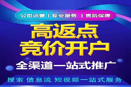 SEM网络推广案例：打造行业影响力品牌